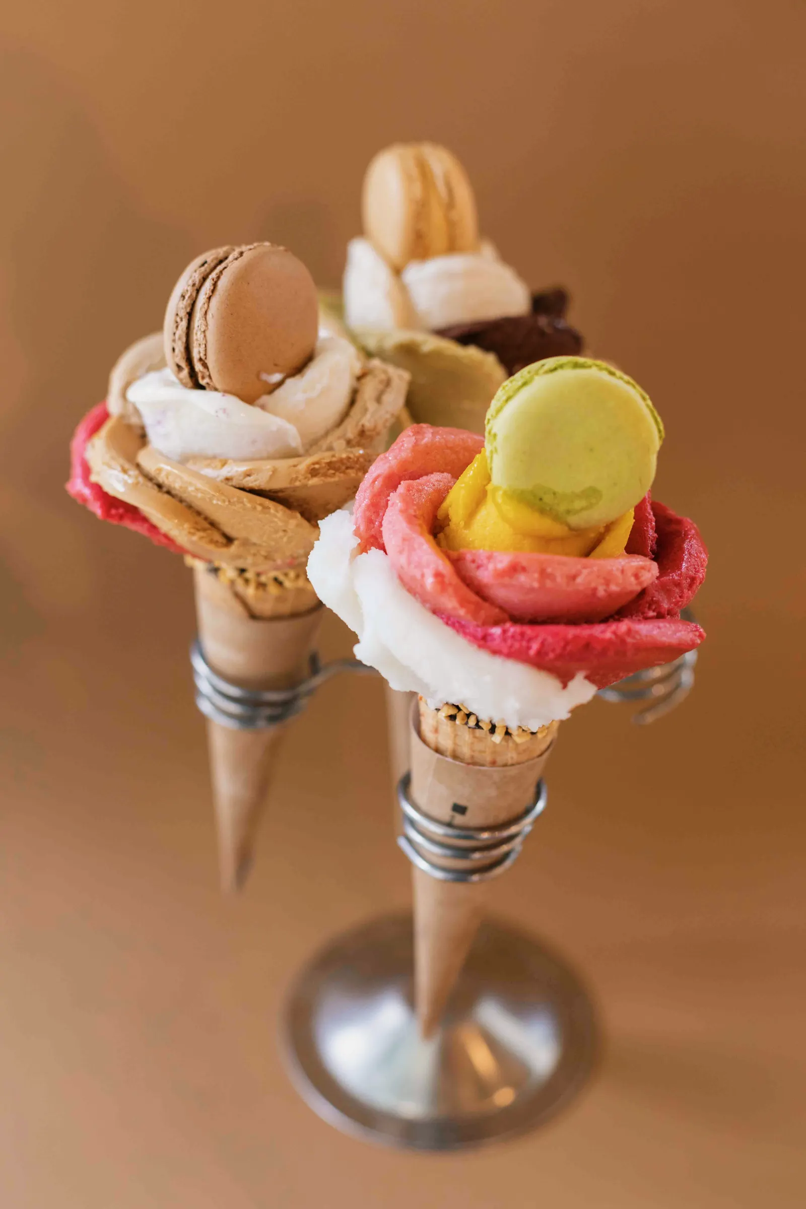 The gelato rose · photo CC BY-SA 4.0, Wikimedia Commons